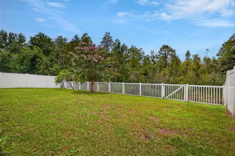 Exterior - 24331 Crosscut Rd, Lutz, FL 33559 photo 8 of 9