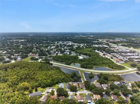View/Area - 24331 Crosscut Rd, Lutz, FL 33559 photo 5 of 9