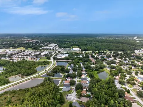 View/Area - 24331 Crosscut Rd, Lutz, FL 33559 photo 4 of 9