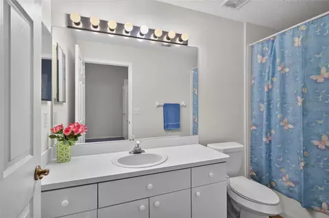 Bath - 24331 Crosscut Rd, Lutz, FL 33559 photo 1 of 4
