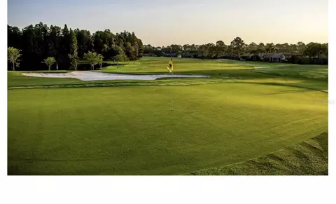 Other - 10924 Rain Hollow Ct, Trinity, FL 34655 photo 9 of 11