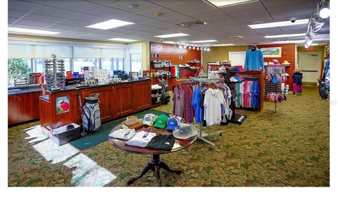 Other - 10924 Rain Hollow Ct, Trinity, FL 34655 photo 11 of 11