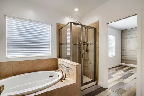 Bath - 3951 Pacente Loop, Wesley Chapel, FL 33543 photo 2 of 5