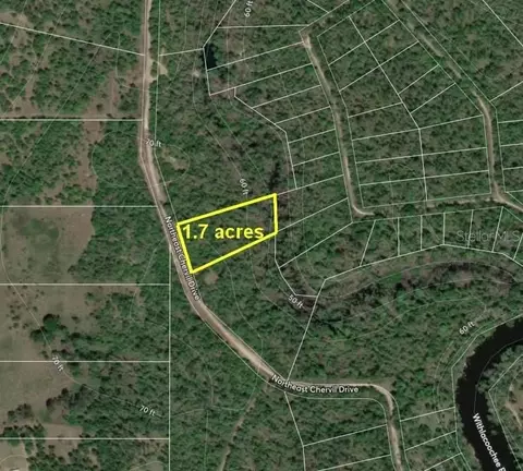 Ne Chervil Drive, Lee, FL 32059 photo 4