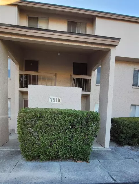 7516 Needle Leaf Pl #43, Tampa, FL 33617
