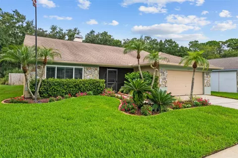 11910 Steppingstone Blvd, Tampa, FL 33635