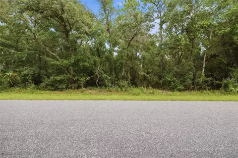 1295 E Ray St, Hernando, FL 34442 photo 3