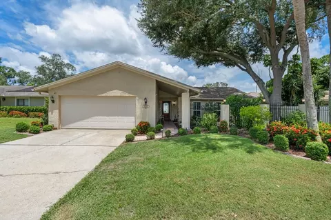 3303 El Amador Ct, Tampa, FL 33614
