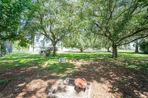 Exterior - 11516 Tuten Loop, Lithia, FL 33547 photo 8 of 14