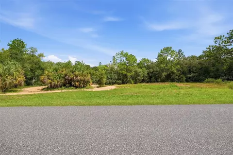 1345 E Ray St, Hernando, FL 34442 photo 3