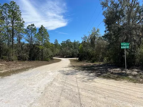 0 Northwest Ave #LOT 32, Webster, FL 33597 photo 5