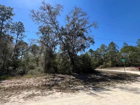 0 Northwest Ave #LOT 32, Webster, FL 33597 photo 9