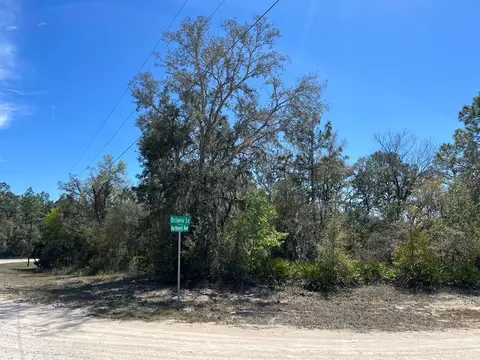 0 Northwest Ave #LOT 32, Webster, FL 33597 photo 2