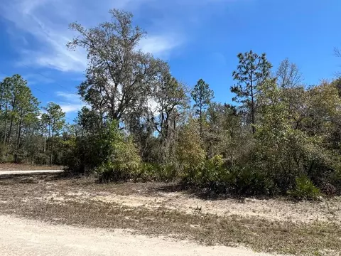 0 Northwest Ave #LOT 32, Webster, FL 33597 photo 11