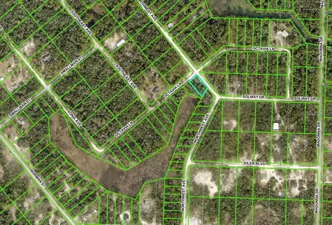 0 Northwest Ave #LOT 32, Webster, FL 33597 photo 4