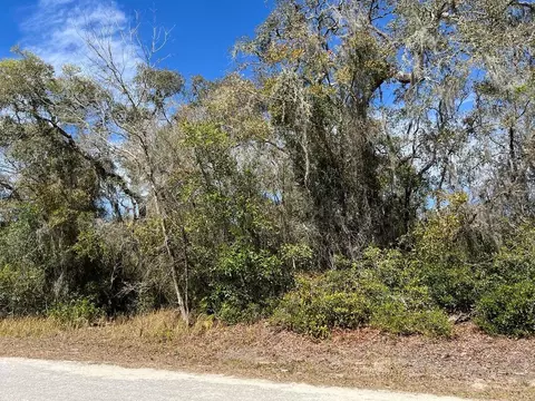 0 Riverstone St #LOT 26, Webster, FL 33597 photo 4