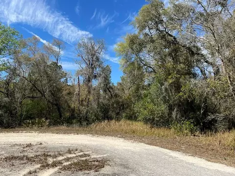 0 Riverstone St #LOT 26, Webster, FL 33597 photo 5