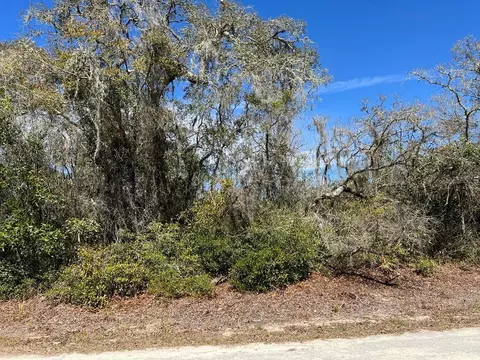 0 Riverstone St #LOT 26, Webster, FL 33597 photo 6