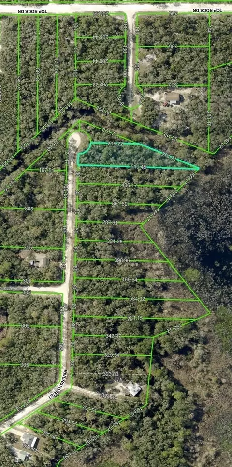 0 Riverstone St #LOT 26, Webster, FL 33597 photo 9