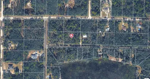 35013 Batesfield St, Webster, FL 33597 photo 6