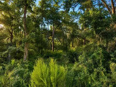35013 Batesfield St, Webster, FL 33597 photo 4