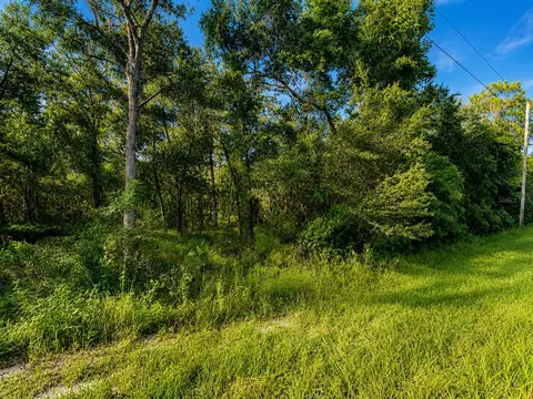 35013 Batesfield St, Webster, FL 33597 photo 3