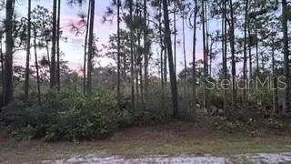 116 Camellia Dr, Indian Lake Estates, FL 33855