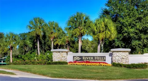 View/Area - 5616 Rockfield Loop, Valrico, FL 33596 photo 4 of 5