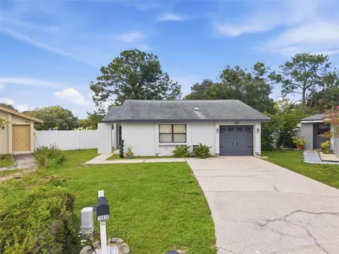 10816 Fairfield Village Dr, Tampa, FL 33624