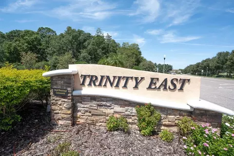 Other - 1307 Ketzal Dr, Trinity, FL 34655 photo 1 of 10