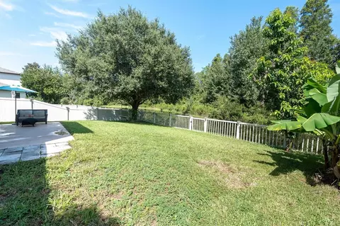 Exterior - 1307 Ketzal Dr, Trinity, FL 34655 photo 8 of 10