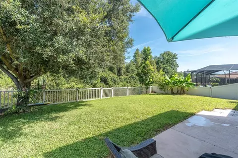 Exterior - 1307 Ketzal Dr, Trinity, FL 34655 photo 4 of 10
