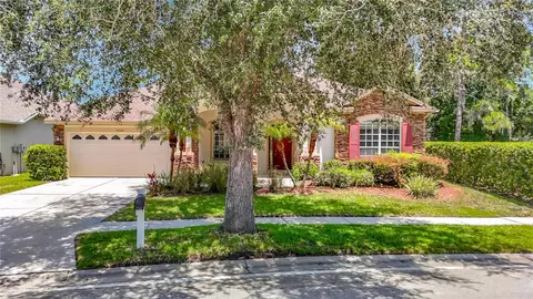 7220 Night Heron Dr, Land O Lakes, FL 34637