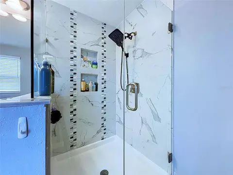 Bath - 19219 Leonard Rd, Lutz, FL 33558 photo 6 of 10