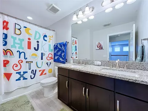 Bath - 19219 Leonard Rd, Lutz, FL 33558 photo 8 of 10