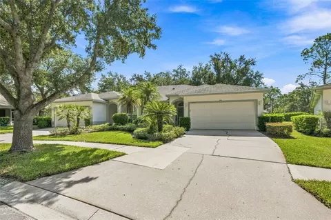 19031 Callaway Ct, Tampa, FL 33647