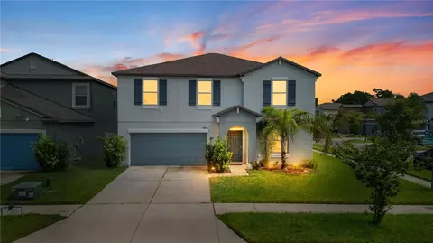 7420 Pearly Everlasting Ave, Tampa, FL 33619