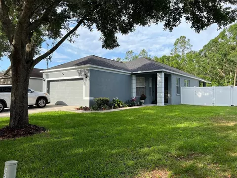 6138 Kiteridge Dr, Lithia, FL 33547