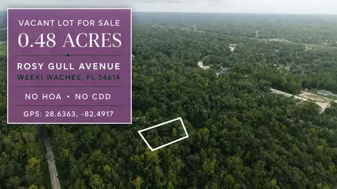 14186 Rosy Gull Ave, Weeki Wachee, FL 34614