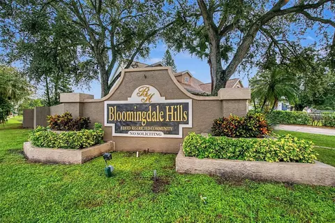 View/Area - 6222 Crickethollow Dr, Riverview, FL 33578 photo 2 of 2