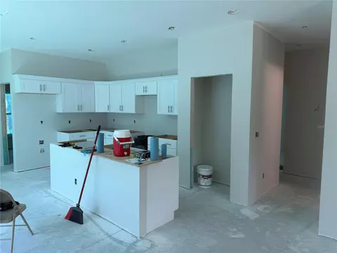 34281 Manuel St, Webster, FL 33597 photo 6