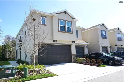 6834 Citrus Creek Ln, Tampa, FL 33625