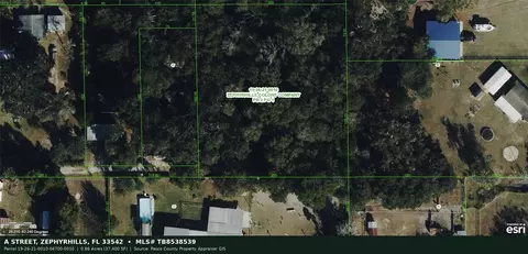 A Street, Zephyrhills, FL 33542