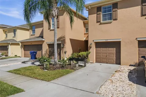Exterior - 9477 Trumpet Vine Loop, Trinity, FL 34655 photo 3 of 8