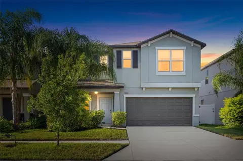 7310 Pearly Everlasting Ave, Tampa, FL 33619