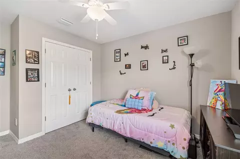 Bedroom - 18907 Cornuta St, Lutz, FL 33558 photo 3 of 5