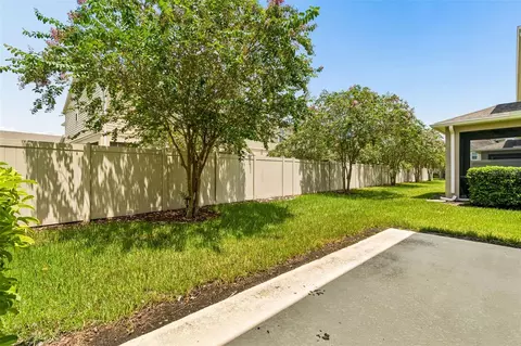 Exterior - 18907 Cornuta St, Lutz, FL 33558 photo 8 of 12