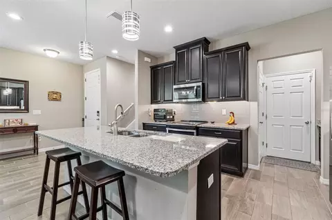 Kitchen - 18907 Cornuta St, Lutz, FL 33558 photo 5 of 5