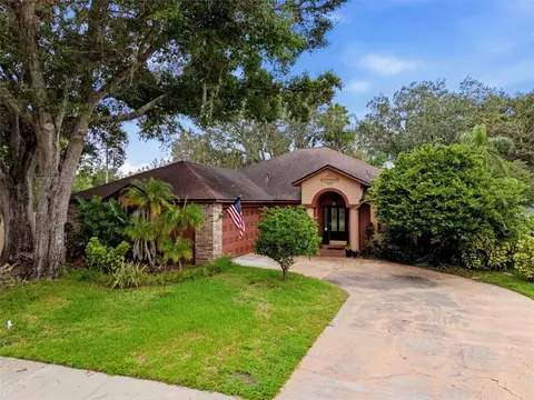 16502 Cayman Dr, Tampa, FL 33624