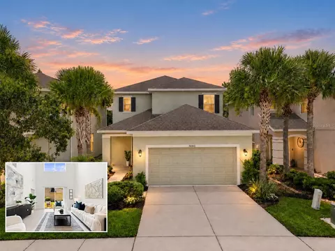 16065 Bella Woods Dr, Tampa, FL 33647